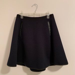 Madewell Skirt, Navy and Black, Size 8